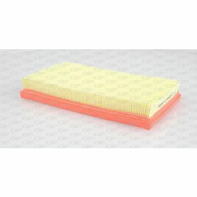 Occasione Imperdibile OPEN PARTS EAF3306.10 Filtro Aria