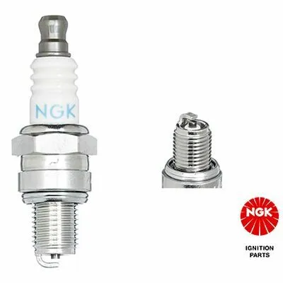 Compra Adesso NGK 3365 Candela Accensione