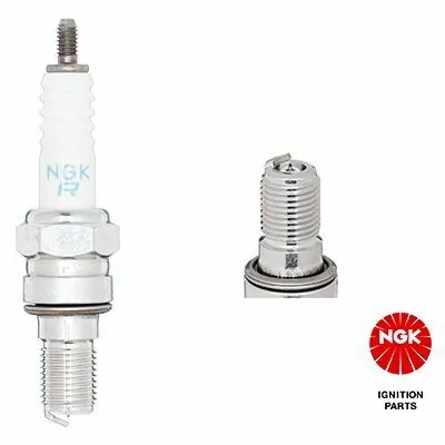 Esclusivo NGK 7791 Candela Accensione